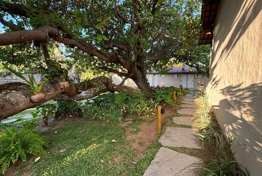 whatsapp image 2025-01-21 at 16.39.27.jpeg