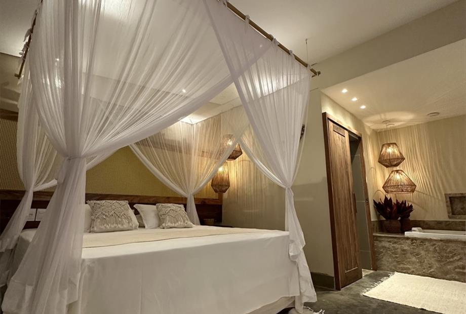 image00009 - copia.jpeg