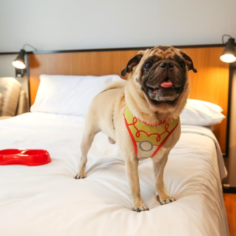 Illustrative image of Ibis RJ Copacabana Posto 2