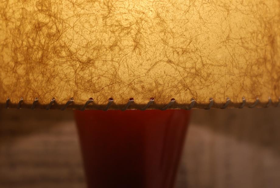 whatsapp image 2026-02-20 at 10.55.03 (1).jpeg