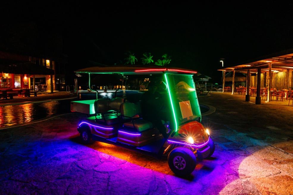 car_06219.jpg