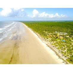 Vista aérea da praia do Makaira