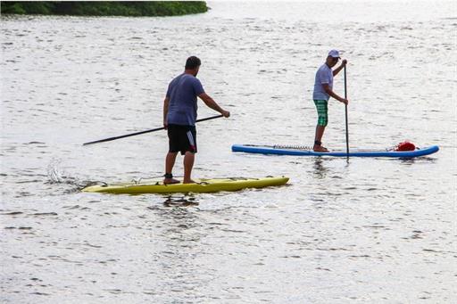 Stand-up Paddle
