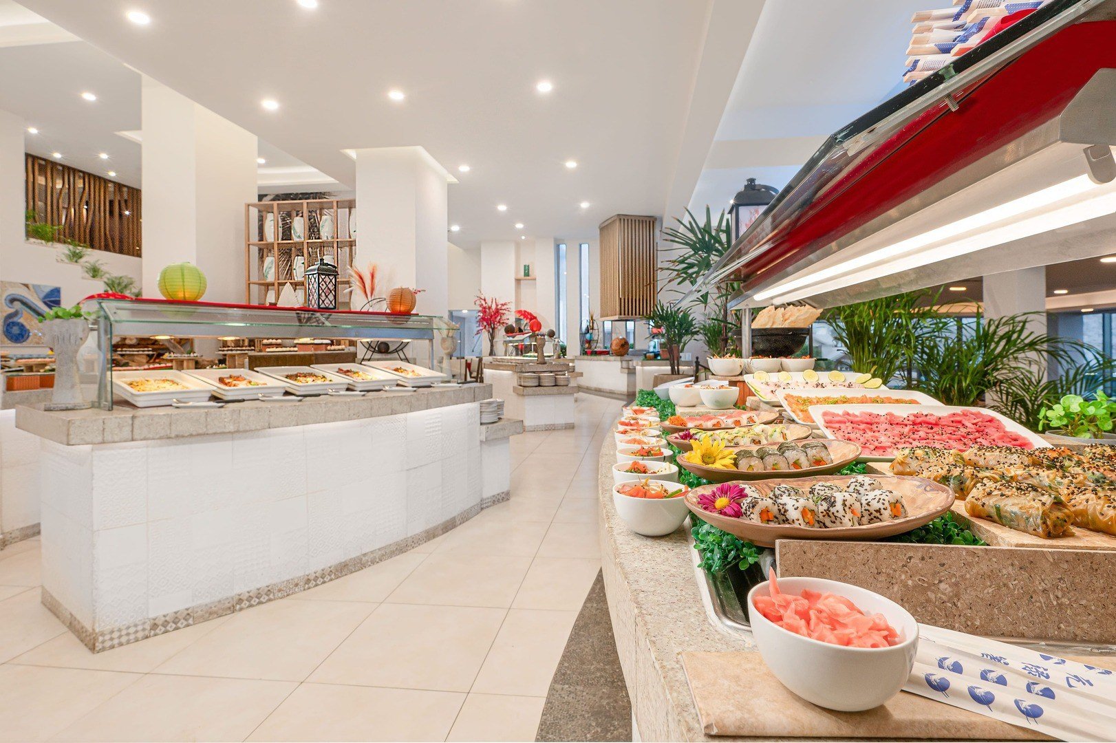 cafe solaris.jpg