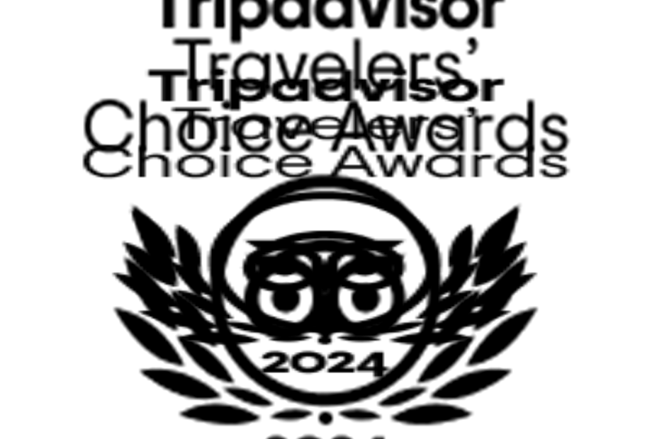 tc_transparent_bf logo_l_2024_rgb (1).png