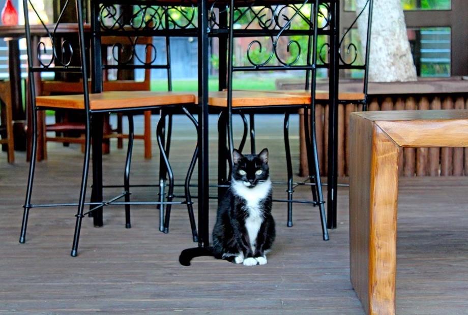 WhatsApp Image 2021-01-20 at 11.43.04 (69).jpeg