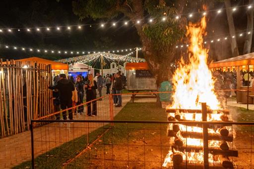 dsc01754 (médio).jpg