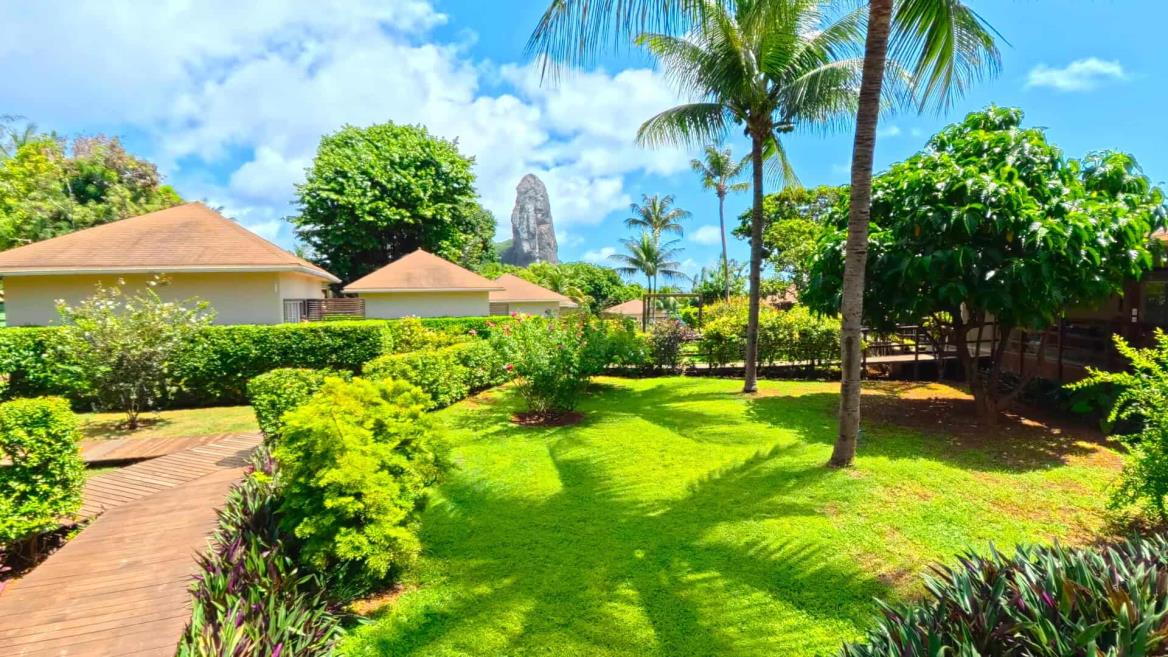 jardim_pico_2_comprimida.jpg