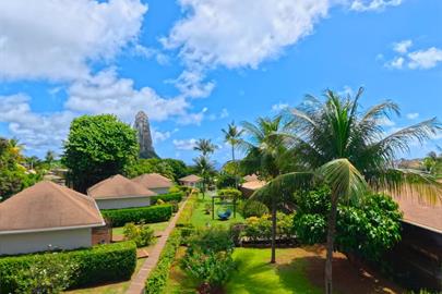 vista_aerea_jardim_pico_comprimida.jpg