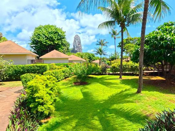 jardim_pico_2_comprimida.jpg