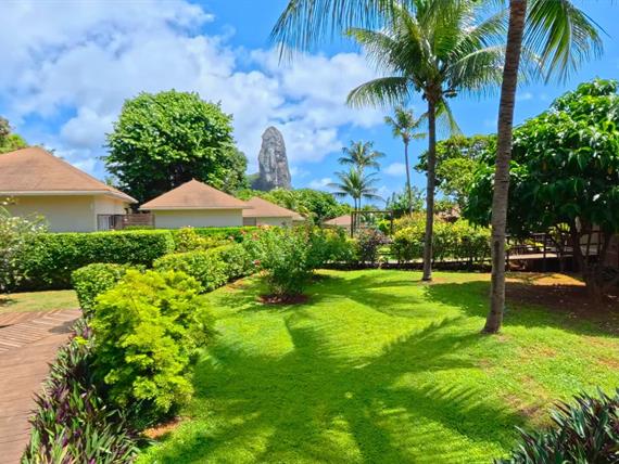 jardim_pico_1_comprimida.jpg