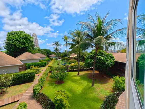 jardim_vista_janela_comprimida.jpg