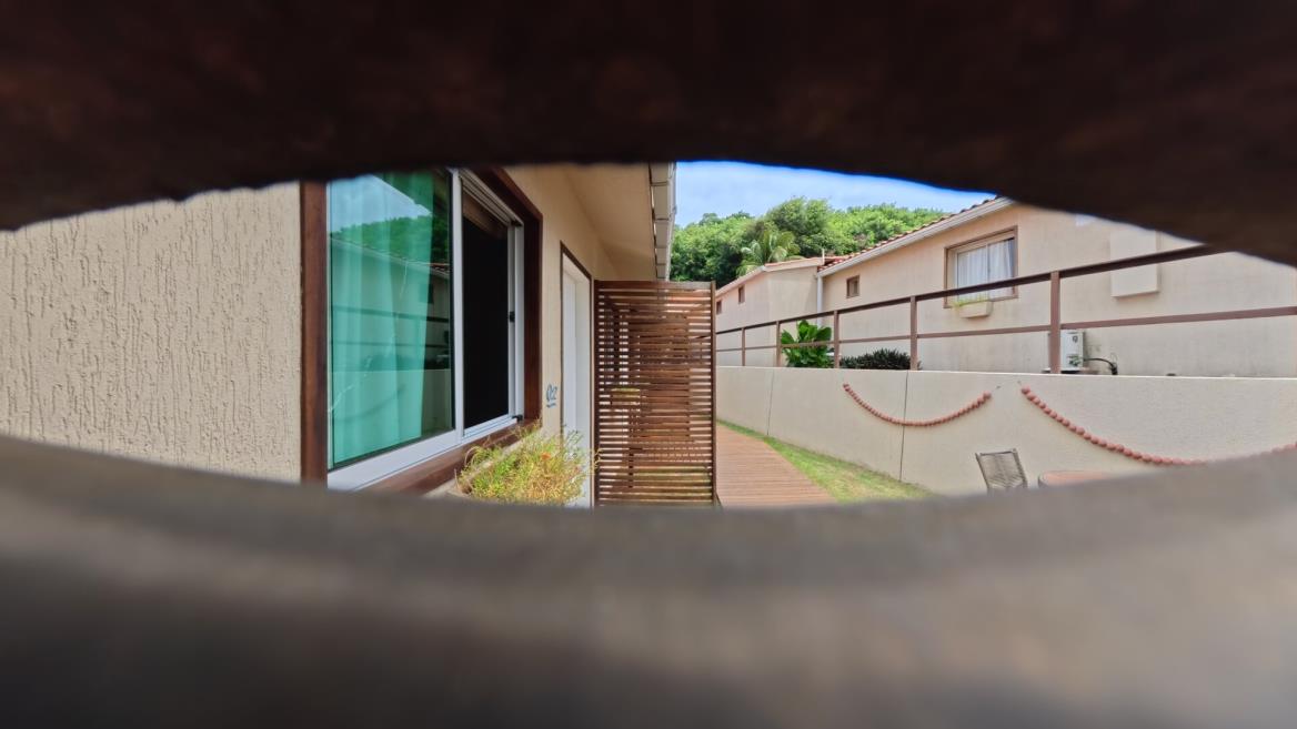 cópia de cópia de tubarão.jpg