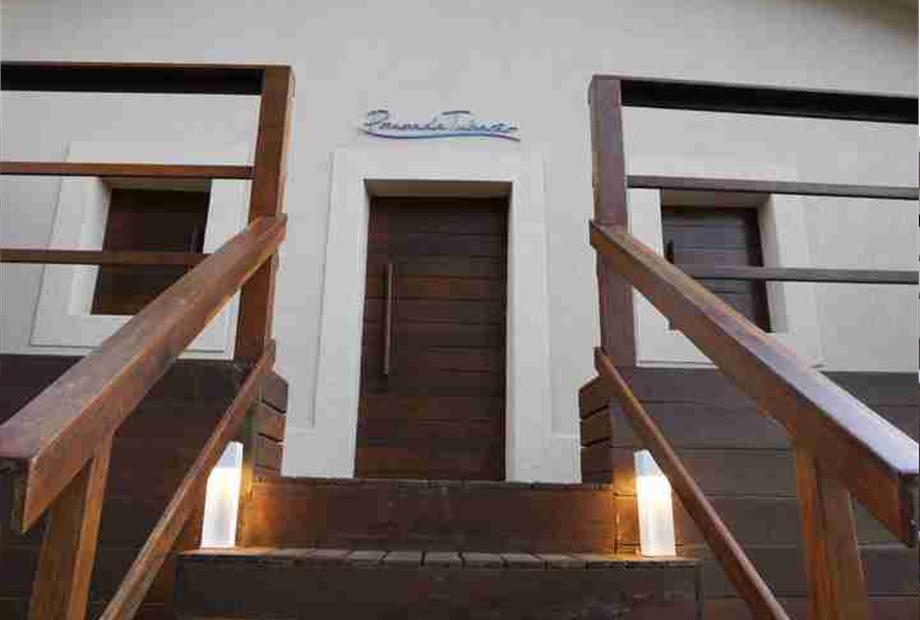 tubarão 3 (1)(2).jpg