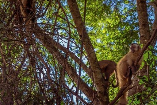 WhatsApp Image 2021-02-19 at 16.00.56.jpeg