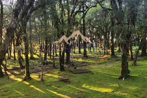 whatsapp image 2025-02-26 at 19.24.11.jpeg