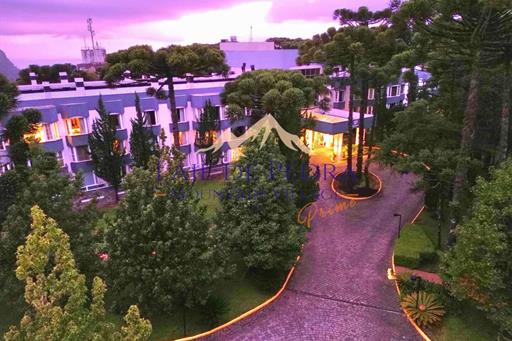 whatsapp image 2025-02-26 at 19.24.11 (3).jpeg