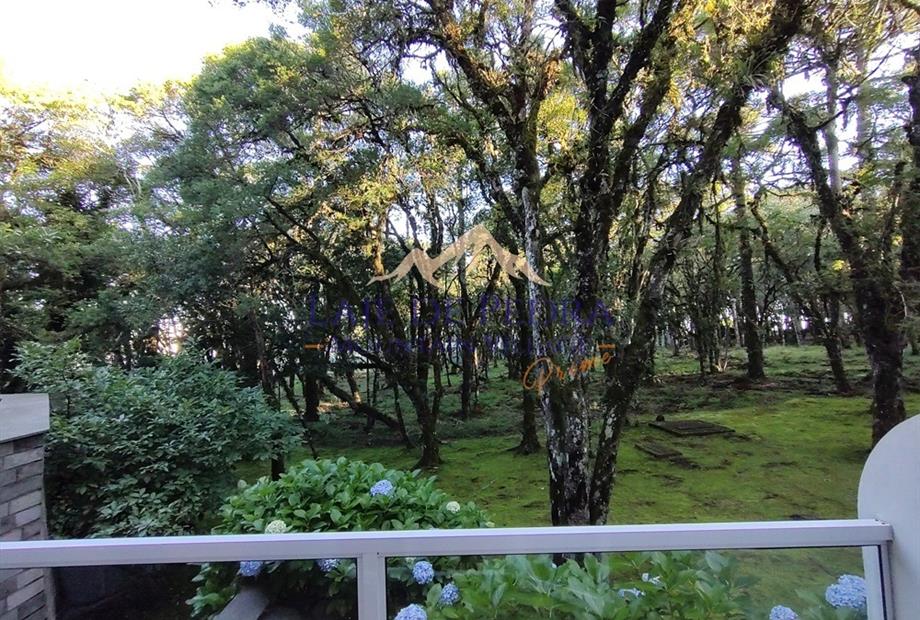 studio standard prime 11.jpg