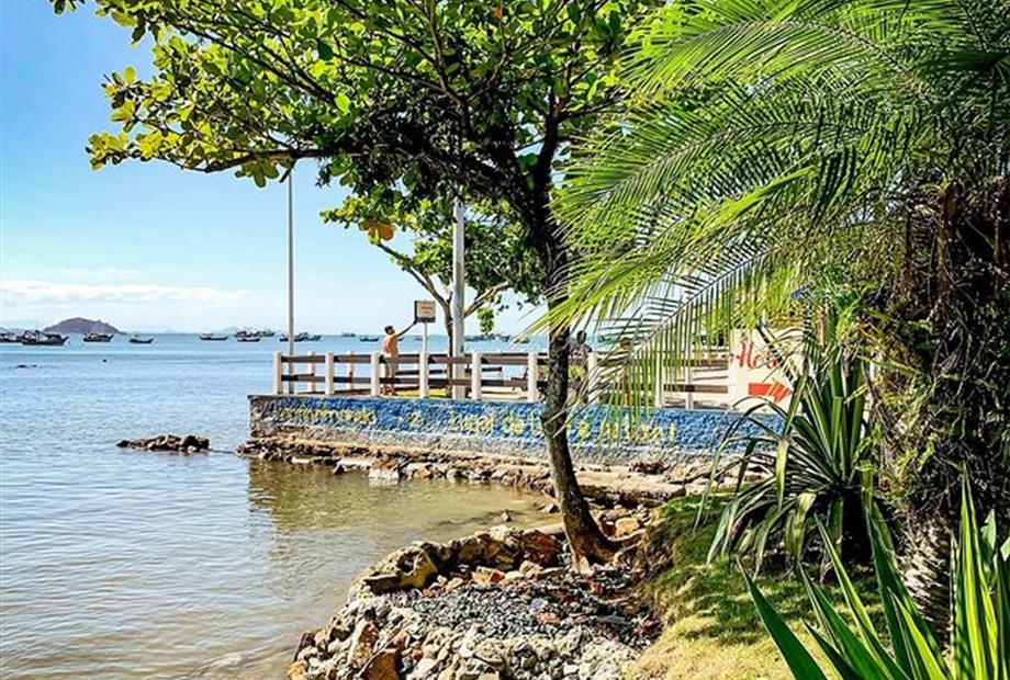 graminha em frente ao pacífico.jpg