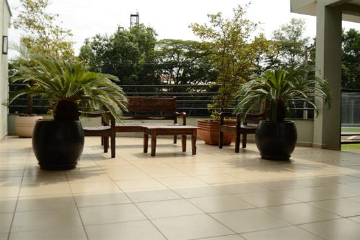 whatsapp image 2019-02-13 at 18.47.51.jpeg