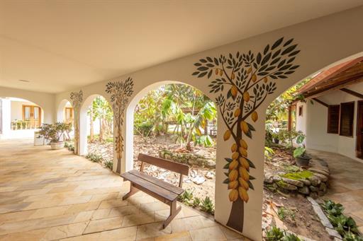 foto area cabruca.jpg