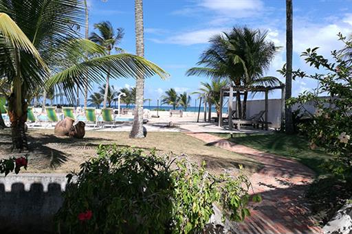 04 La Dolce Vita.jpg