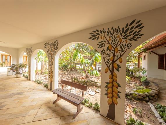 foto area cabruca.jpg