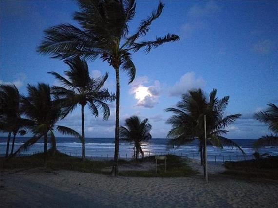 08  La Dolce Vita.jpg