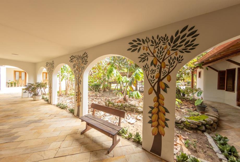 foto area cabruca.jpg