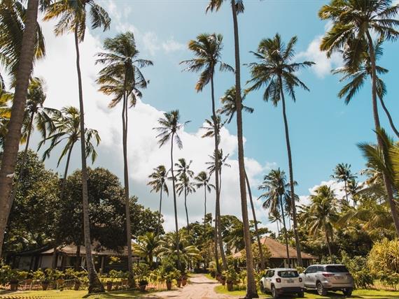 WhatsApp Image 2019-07-18 at 12.40.32(3).jpeg