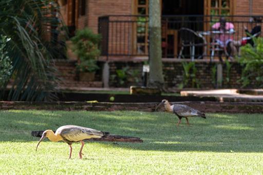 whatsapp image 2022-03-08 at 12.46.50 (2).jpeg