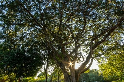 whatsapp image 2022-03-08 at 12.48.30 (1).jpeg