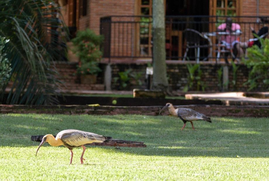 whatsapp image 2022-03-08 at 12.46.50 (2).jpeg