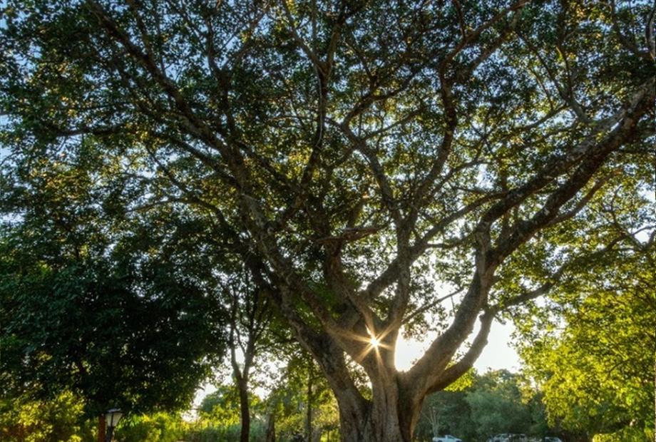 whatsapp image 2022-03-08 at 12.48.30 (1).jpeg