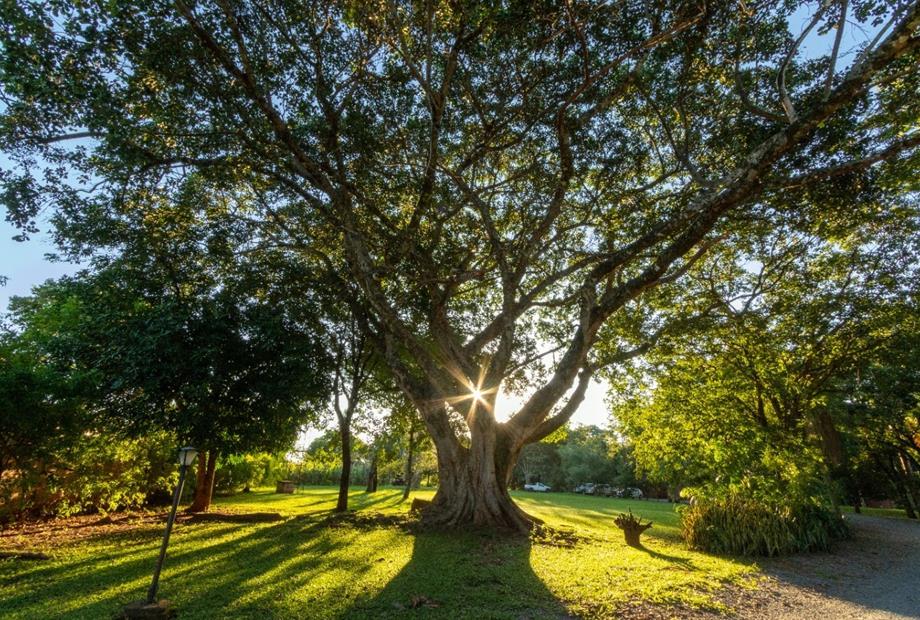 whatsapp image 2022-03-08 at 12.48.30.jpeg