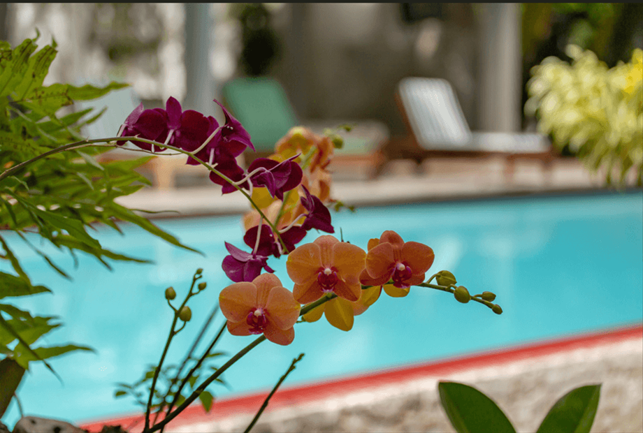 captura de tela 2026-04-15 102756.png