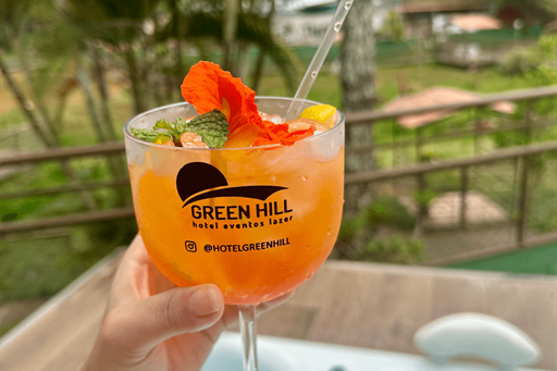 hotel green hill juiz de fora (3).png