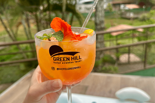 hotel green hill juiz de fora (3).png