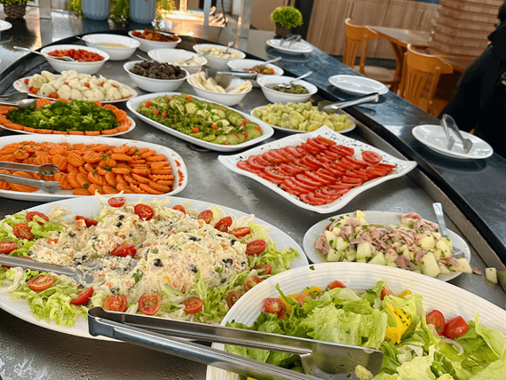 hotel green hill juiz de fora (4).png