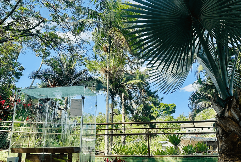 hotel green hill juiz de fora (11).png