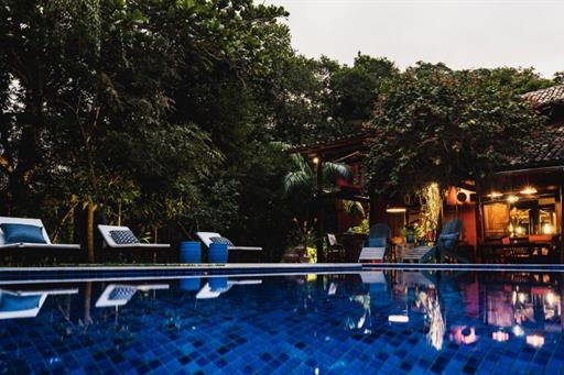 mata nativa (foto karib ribeiro 1) menor.jpg