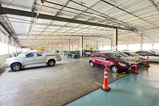 whatsapp image 2025-06-10 at 12.25.00.jpeg