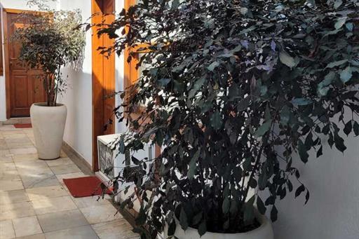 whatsapp image 2024-03-19 at 14.31.00.jpeg