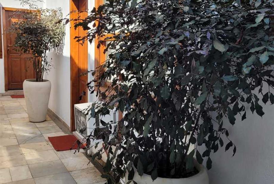 whatsapp image 2024-03-19 at 14.31.00.jpeg