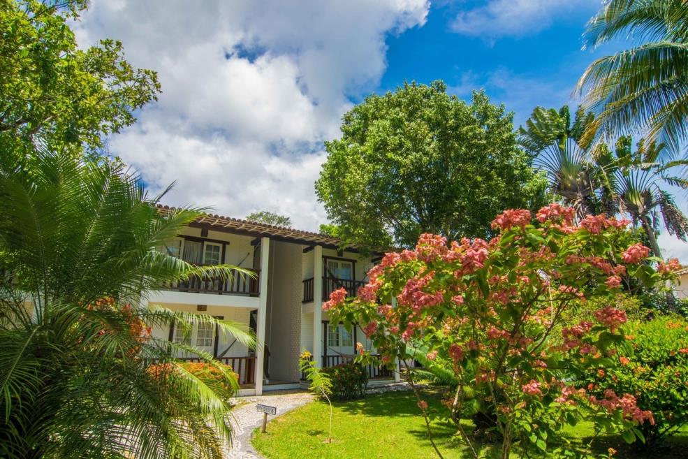 manacá jardim 2.jpg
