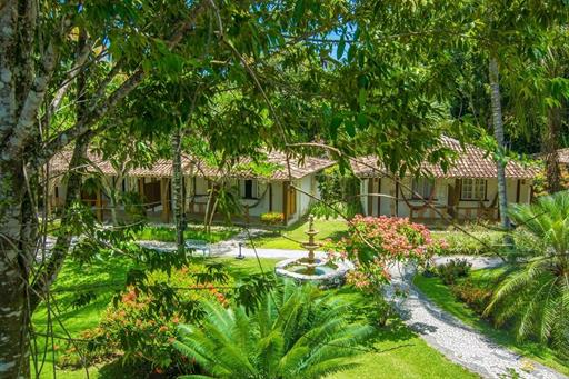 manacá jardim 7.jpg