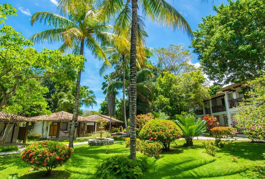 manacá jardim 6.jpg