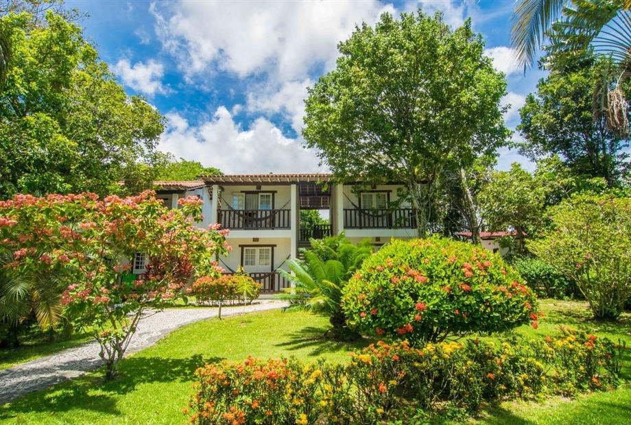 manacá jardim 4.jpg