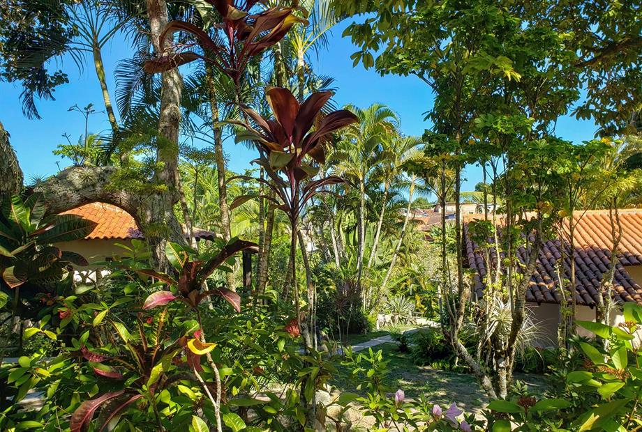 Pousada_Tropical_BA (95).jpg