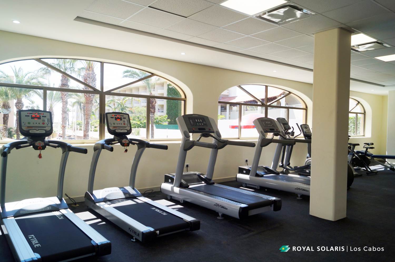 gym_1.jpg